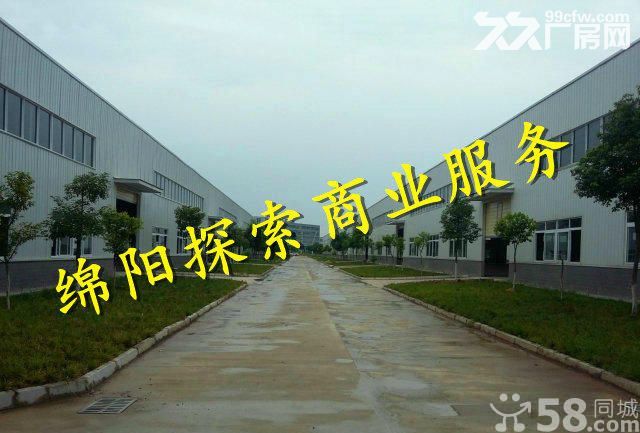 （出租）无中.介.费)高新区平武工业园大型园区招租-图3