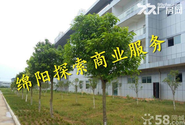（出租）无中.介.费)高新区平武工业园大型园区招租-图4