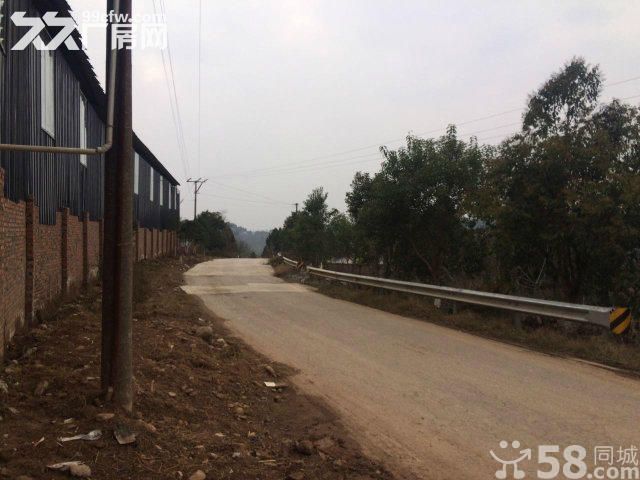 绵吴路毅德商贸附近2000平水电气齐全价格5-图2