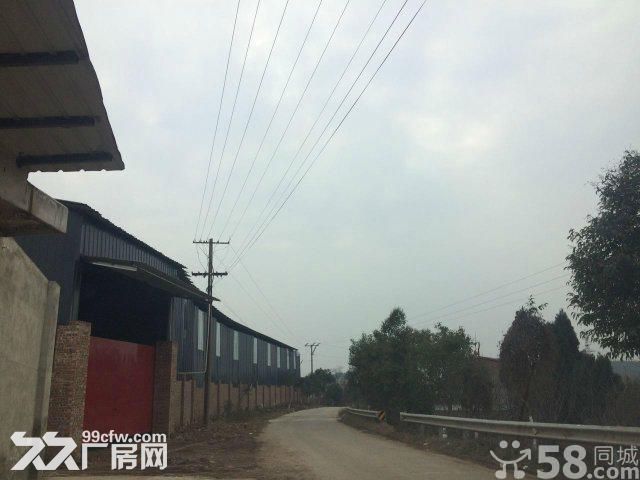 绵吴路毅德商贸附近2000平水电气齐全价格5-图3