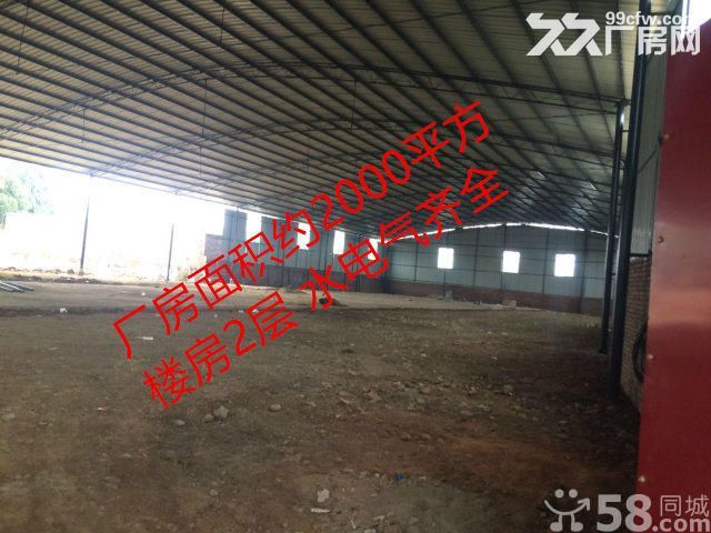绵吴路毅德商贸附近2000平水电气齐全价格5-图4