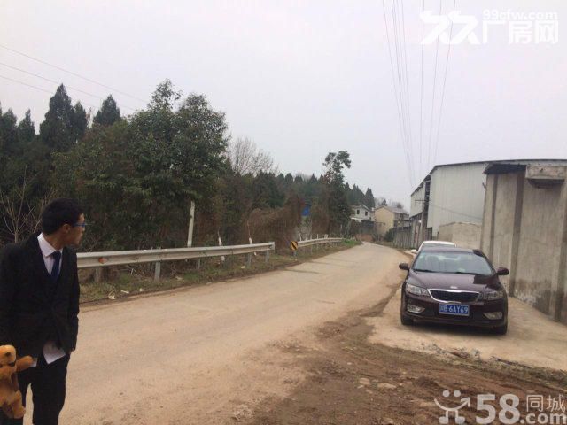 绵吴路毅德商贸附近2000平水电气齐全价格5-图5