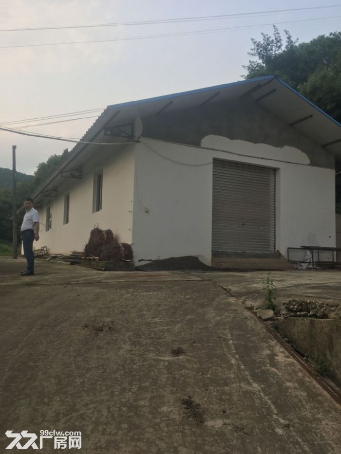 绵阳市游仙区聚农农场出租出售