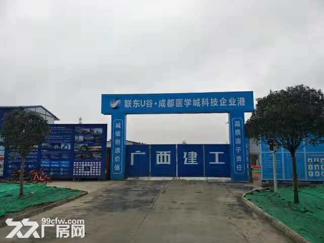 成都温江三医产业园厂房出租出售，政策好！